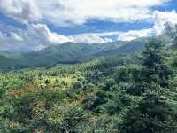佛山兩日躺平周邊遊-馬頭山森林度假區