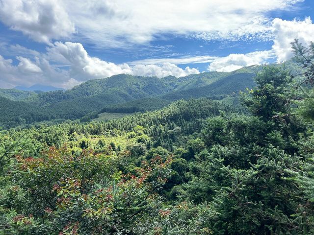 佛山兩日躺平周邊遊-馬頭山森林度假區