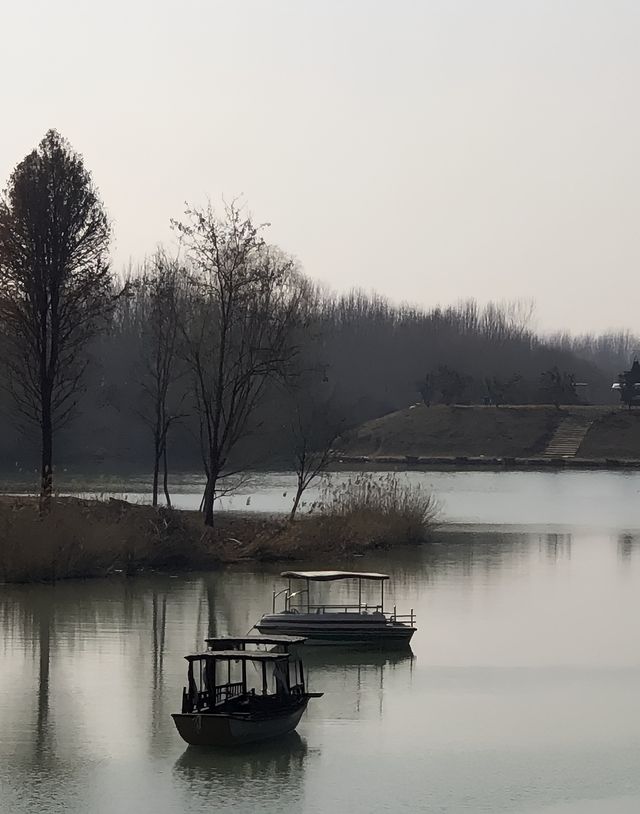 濟寧太白湖。