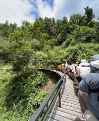 深圳打工人挑戰每週末旅遊第37站雲浮