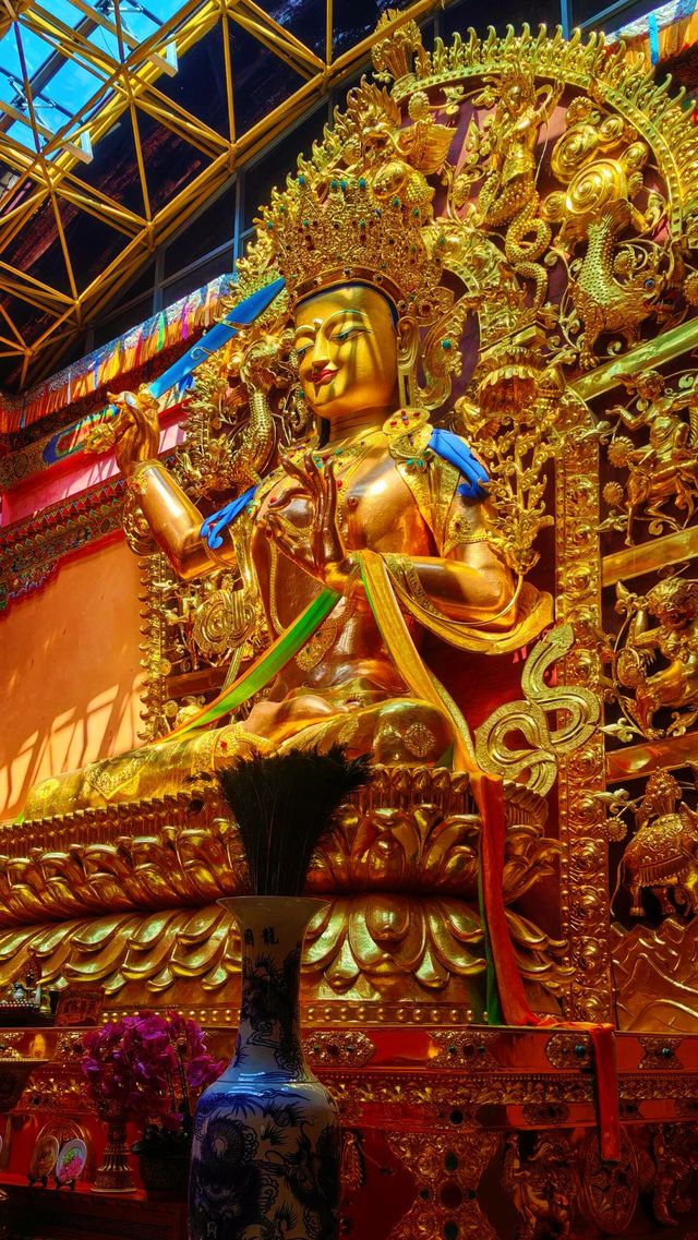 人生是曠野。