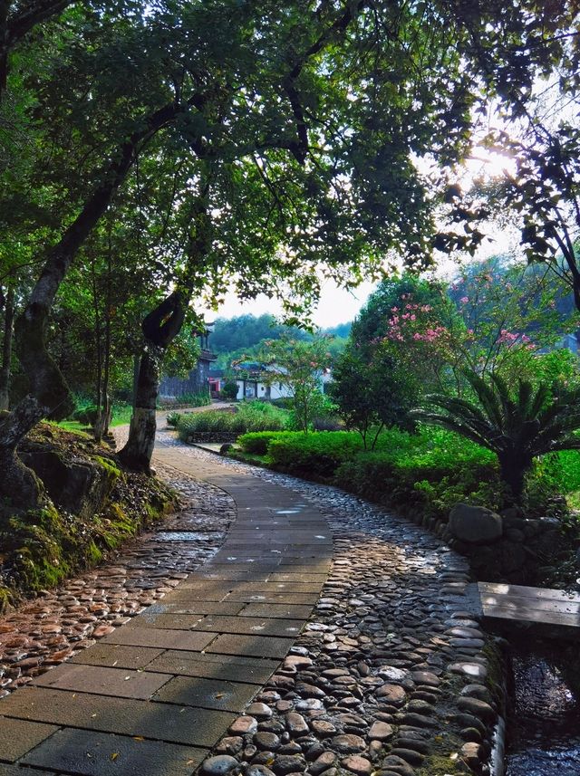 這個800年冷門原始古村，真的很適合隱居。。