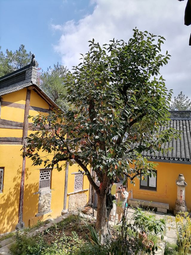 金華浦江龍德古寺丨一個人氣很旺的古寺丨值得一遊。