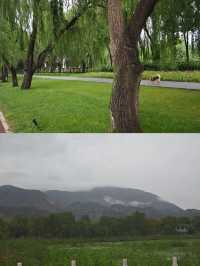 大西北能觀山賞水的超美民宿。