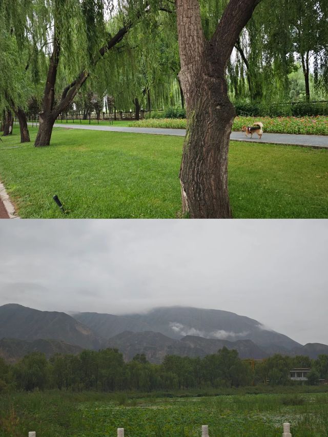 大西北能觀山賞水的超美民宿。