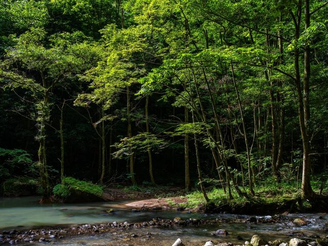 襄陽九路寨｜綠野仙蹤般的大自然寶藏之地。