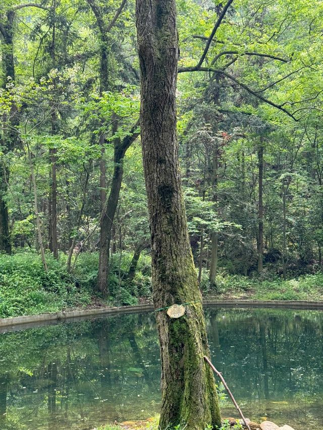 董寨國家級自然保護區：鳥類天堂。