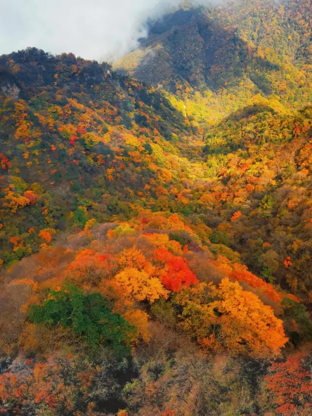 단풍의 고향 - 미창산 국립산림공원