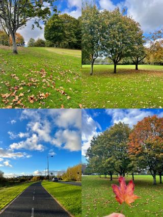 Limerick, Ireland: A Two-Day Tour of the Emerald Isle's Shining Jewel