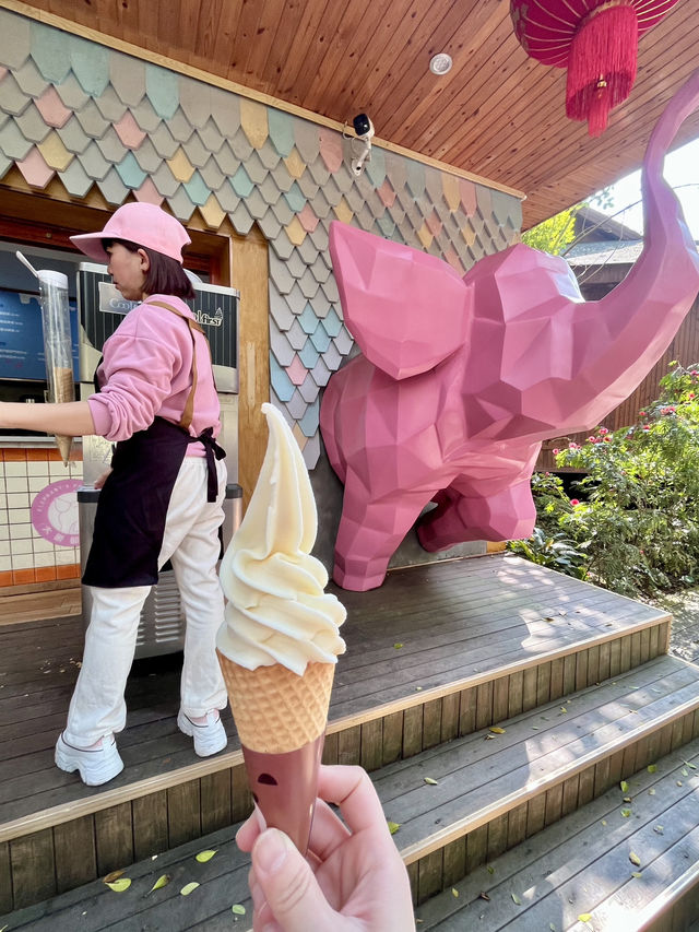 西雙版納｜熱帶雨林看亞洲野象🐘