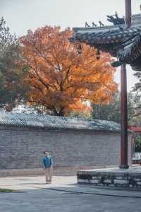 獨樂寺 | 無上國寶，獨一無二。