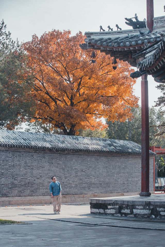 獨樂寺 | 無上國寶，獨一無二。