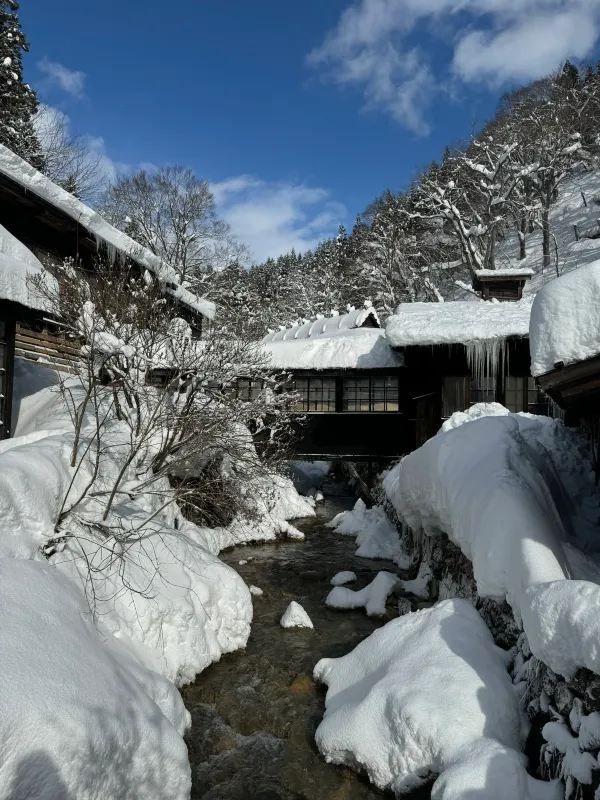 Experience the Enchanting Snowy Wonderland of Japan
