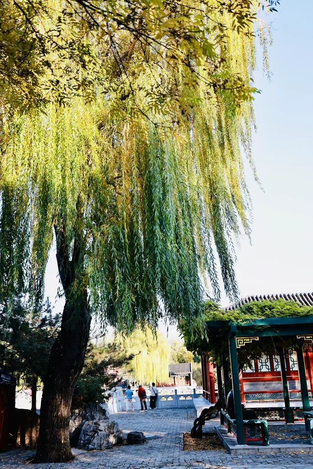 暖陽下的大觀園，一幅寧靜而美麗的畫面！。