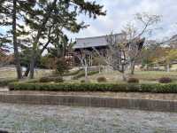 法隆寺——奈良的世界文化遺產。
