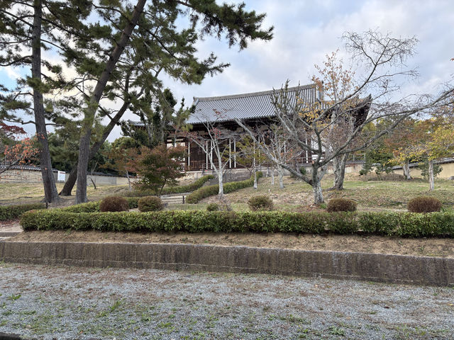 法隆寺——奈良的世界文化遺產。