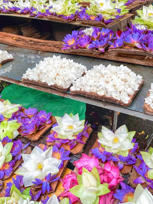 스리랑카 가을 여행 비수기 여행 가이드 대공개.