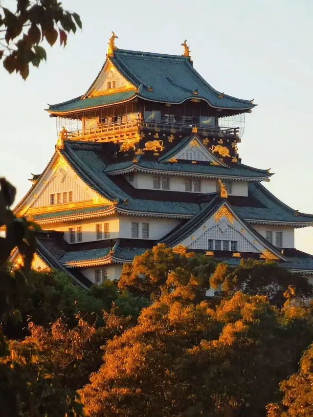 日本秋遊全攻略美景等你來探索。