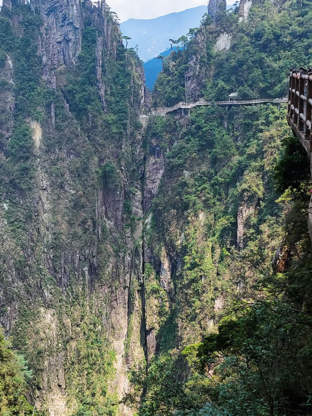 頭一回見：爬山還可以坐電梯｜郴州宜章莽山。