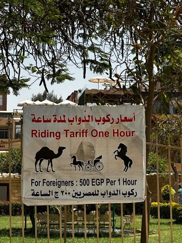 Best Route to Explore the Giza Pyramids 🐫