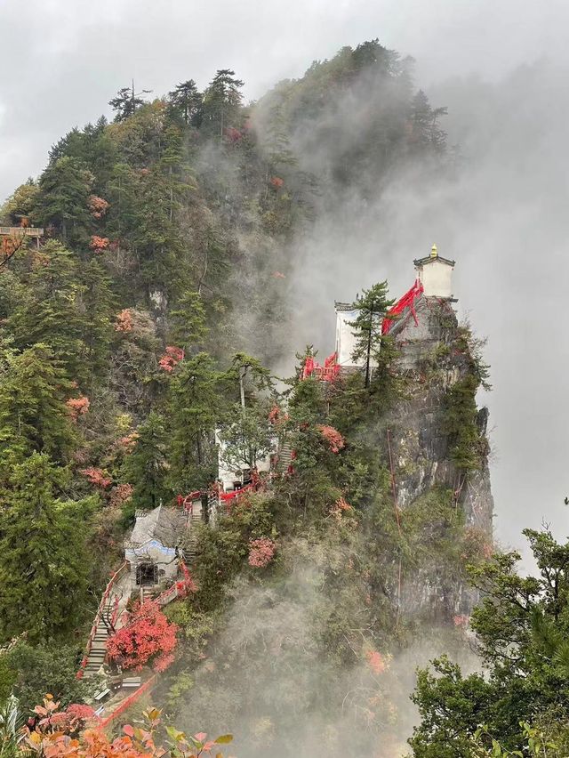 探索秦嶺秘境，感受道教文化魅力。