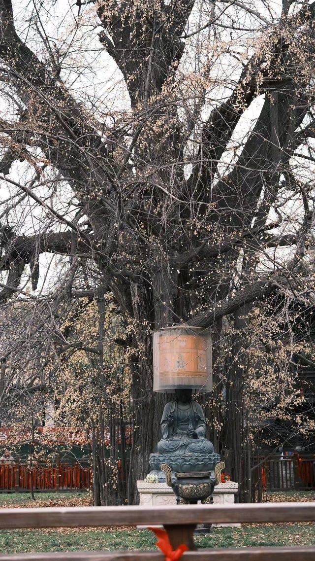古觀音禪寺——李世民的浪漫。