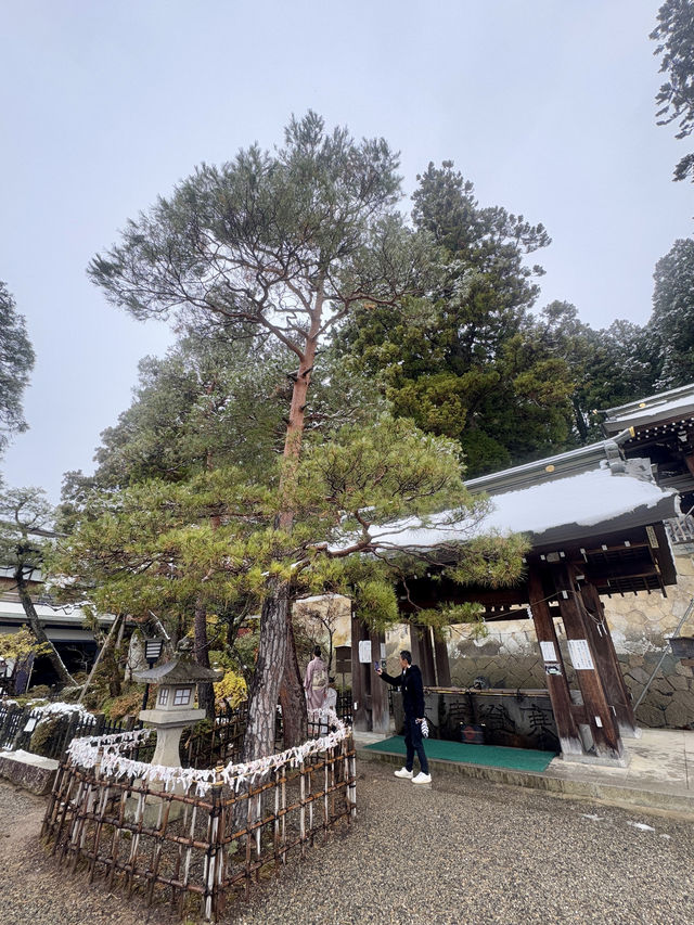 櫻山八幡宮—高山歷史底蘊的象徵