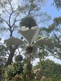 深圳龍華公園又對外開放啦！
