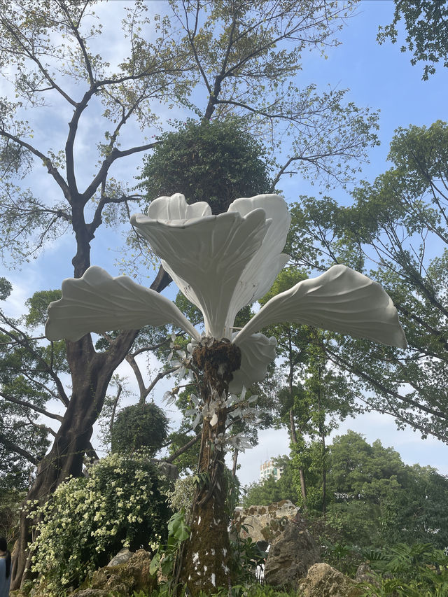 深圳龍華公園又對外開放啦！