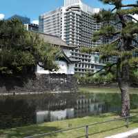 💖在東京！銀座旁剛退房！😭😭連住三晚不想退房💖