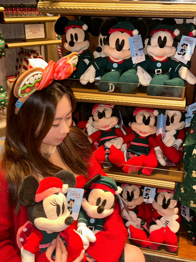 California Disneyland: Celebrate an Early Christmas with the Princesses