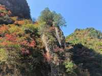 秦嶺峽口紅葉感受大自然的鬼斧神工