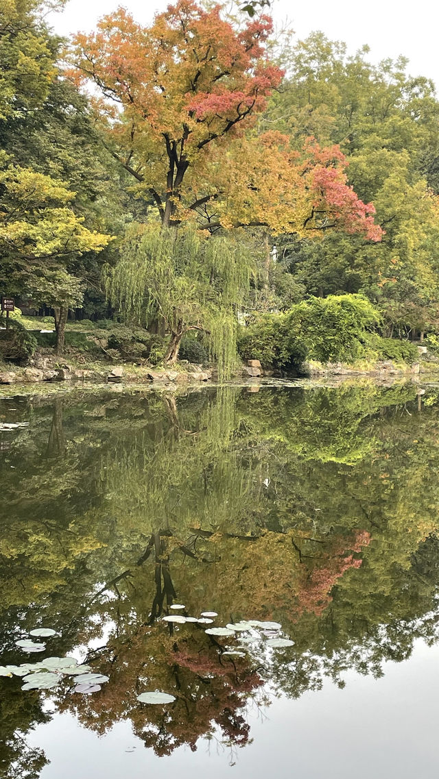 南京第4站 鐘山風景區4 靈谷景區 南京第4站 鐘山風景區4 靈谷景區