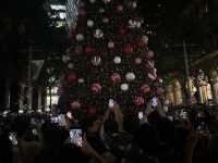 Experience the Magic of Christmas Tree Lighting with Santa in Martin Place