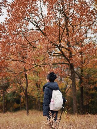 成都1小時 | 金堂老牛坡絕美彩林老少皆宜輕徒步