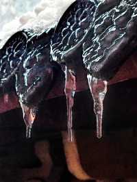【絕美自駕行】華蓥寶鼎，邂逅1,600米高空雪域仙境