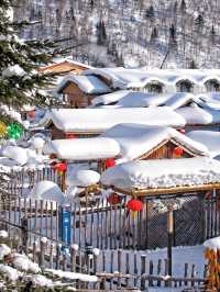 雪鄉｜這個冬天一定要來看一看現實版的狗熊嶺