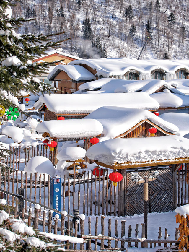 雪鄉｜這個冬天一定要來看一看現實版的狗熊嶺