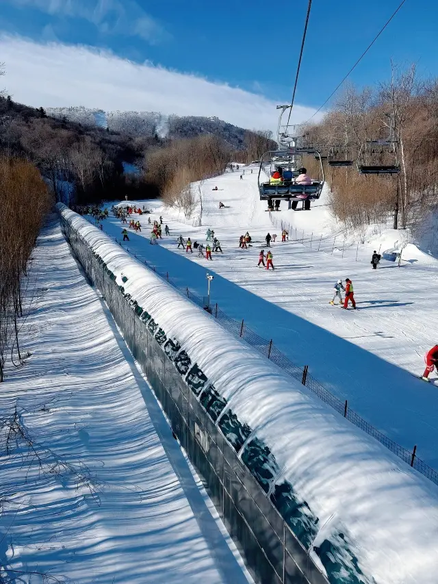 헤이룽장에서 얼음과 눈으로 조각된 환상의 세계로 들어서다