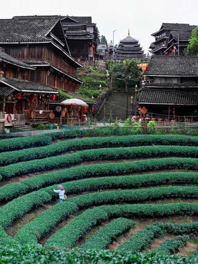 柳州三江萬怡酒店 | 獨特的旅居體驗