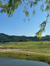 新疆北疆-伊犁-伊寧市 3天暢遊攻略 玩轉美景不留遺憾