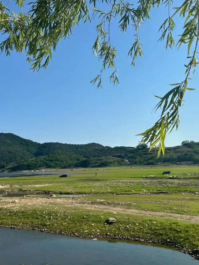 3-Day Itinerary for Northern Xinjiang, Ili, and Yining City: Explore the Beauty of Northern Xinjiang