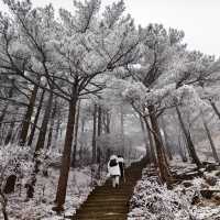 黃山春節雪景旅遊新通知請速速查收