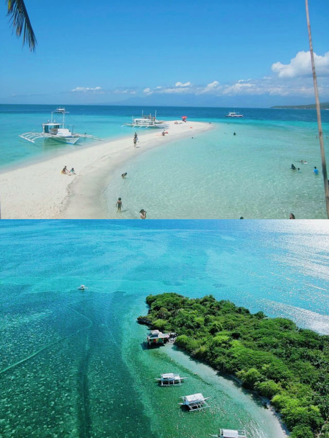 跟着我上天下海：宿霧潛水