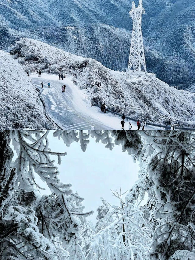 本周末清遠雲冰山看 2025 年第一場霧凇