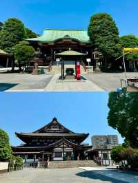 日本川崎市