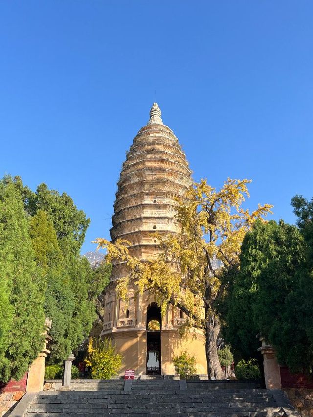 1日玩轉河南少林寺等地 冬日遊更添韻味少林功夫體驗之旅