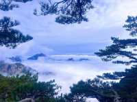黃山真是太美了