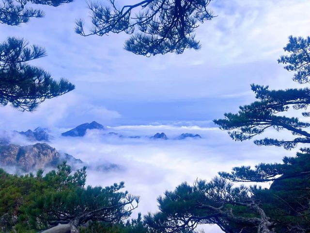 黃山真是太美了