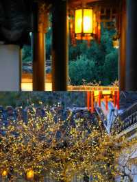 南京瞻園|中式旅行